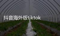 抖音海外版tiktok下载:一次跨越国界的创作入口