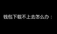 钱包下载不上去怎么办:从排查到落地的全方位解决方案