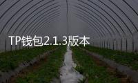 TP钱包2.1.3版本下载：最安全的数字资产管理工具，助你掌控未来财富
