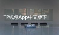 TP钱包App中文版下载:开启你的去中心化金融新入口