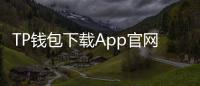 TP钱包下载App官网正版App下载全指南｜安全、快速获取官方版本