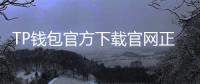 TP钱包官方下载官网正版:安全下载与高效体验的全流程解析