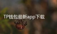 TP钱包最新app下载:引领区块链安全管理新潮流