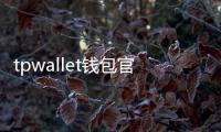 tpwallet钱包官网下载：开启安全高效的数字钱包之旅