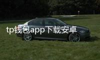 tp钱包app下载安卓版区块链：开启你的数字资产新纪元