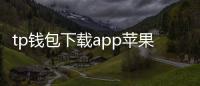 tp钱包下载app苹果版：开启你的多链资产管理新纪元