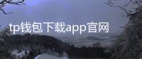 tp钱包下载app官网正版网址：官方渠道下载指南与安全要点