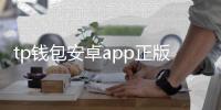 tp钱包安卓app正版下载:安全高效的数字资产管理新体验